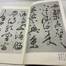 220128★L06★明 祝技山 赤壁賦墨跡 上海人民美術出版社 國外所蔵書法精品叢書★書道 _画像5