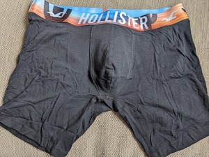 * 新品 HOLLISTER ホリスター ボクサー ブリーフ トランクス パンツ M / Black Cactus *