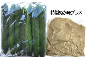【大人気商品】胡瓜漬　1袋1ｋｇ入　特製ぬか床1ｋｇ付き　きゅうり　漬物