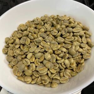 コーヒー豆　生豆　ブラジル　ハニーショコラ　200g