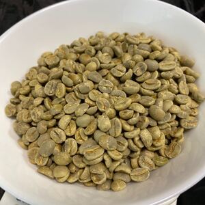 コーヒー豆 生豆 ブラジル ハニーショコラ 200g