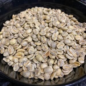 コーヒー生豆 ブラジル ハニーショコラ 800g サーファーブレンドカフェ