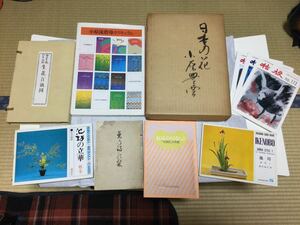 お花の本　まとめ売り　池坊　枯梗　生花　小原流指導カリキュラム　日本の花　合計10冊