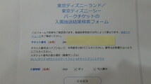 2月6日(土)ディズニーランド　9時入園可能　２枚セット　送料無料_画像3