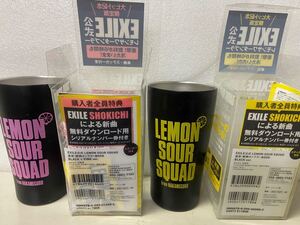 2個 EXILE公式 LEMON SOUR SQUAD 真空・断熱タンブラー