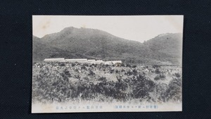 ｈ■　戦前絵葉書　饗庭野ニ於ケル歩兵連隊　田原山麓ニテ突撃ノ光景　歩兵連隊　建造物　施設　風景　光景　レトロ　アンティーク　/pc67