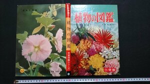 n□　学習図鑑シリーズ ①　「植物の図鑑」　昭和47年40版発行　小学館　/J10