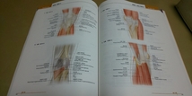 ★あたらしい「人体解剖学アトラス」★佐藤達夫訳.メディカルサイエンスインターナショナル社発行　定価7700円_画像4