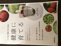 ★山形県産★減農薬アミノ酸肥料で作った★ラ・フランス　3キロｋｇ（10個入り）2Lサイズ　ご家庭用_画像3