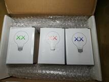 KAWS カウズ XX LIGHT BULBS 3色セット_画像2