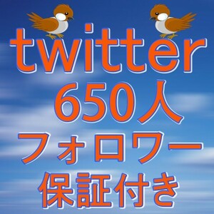 ツイッター 外国人６５０人 フォロワー 保証有 Twitter ツイッターフォロワー URLのみ