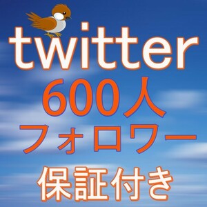 600人Twitterフォロワー増加 Twitter フォロワー
