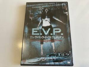 DVD ◇未開封◇「E.V.P. エレクトリック・ボイス・フェノミナン」 アマンダ・バートン, キース・コンプトン, マシュー・ボルトン 　セル版