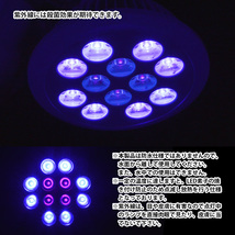LED 電球 スポットライト 24W(2W×12)青8紫外線4灯 水槽照明 E26 LEDスポットライト 電気 水草 サンゴ 熱帯魚 観賞魚 植物育成_画像4