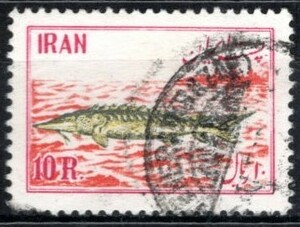 ◆202古いイラン　1953年　チョーザメ　＄３５　① ◆