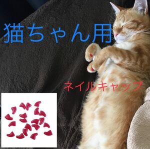 猫 ネイル 爪 カバー キャップ 爪とぎ防止 新品未使用 レッド　赤