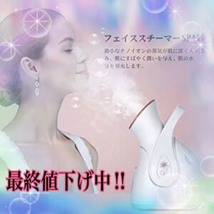 フェイススチーマー 顔 各種肌質対応 ナノ微粒化技術 スキンケア用品補助 静音 頭皮ケア