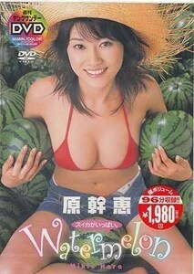 ◆新品DVD★『原幹恵 スイカがいっぱい。』グラビア アイドル SLPD-3★1円