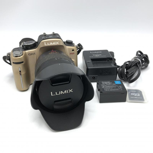 【中古】パナソニック LUMIX DMC-GH1 14-140 レンズセット デジタル一眼レフカメラ【外箱なし】