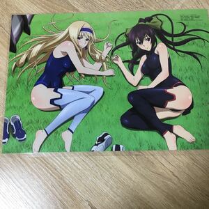 IS Infinite Stratos ..... laminate A4 size processed goods d..
