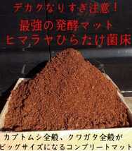 カブトムシ幼虫の餌　産卵にはこれ！幼虫が大きくなります！ひらたけ発酵マット20リットル　抜群の栄養価！飼育のサポートも致します(^-^)_画像10