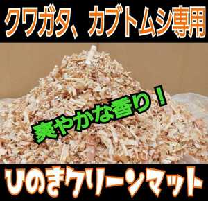 80リットル☆成虫管理にはこれが一番ですよ！爽やかな香りの針葉樹クリーンマット！ケース内が明るくなり生体が目立つ☆抗菌消臭防ダニ効果