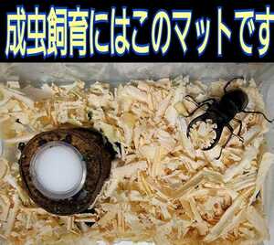 送料無料☆カブトムシ、クワガタの成虫飼育専用☆針葉樹クリーンマット☆ケース内が明るくなり生体が目立つ！ダニ、コバエも湧かなくなる！