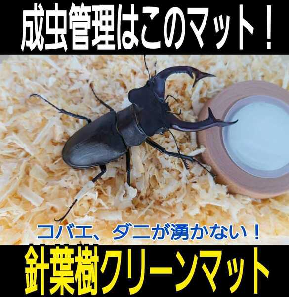 送料無料☆カブトムシ、クワガタの成虫飼育専用☆針葉樹クリーンマット☆ケース内が明るくなり生体が目立つ！ダニ、コバエも湧かなくなる！