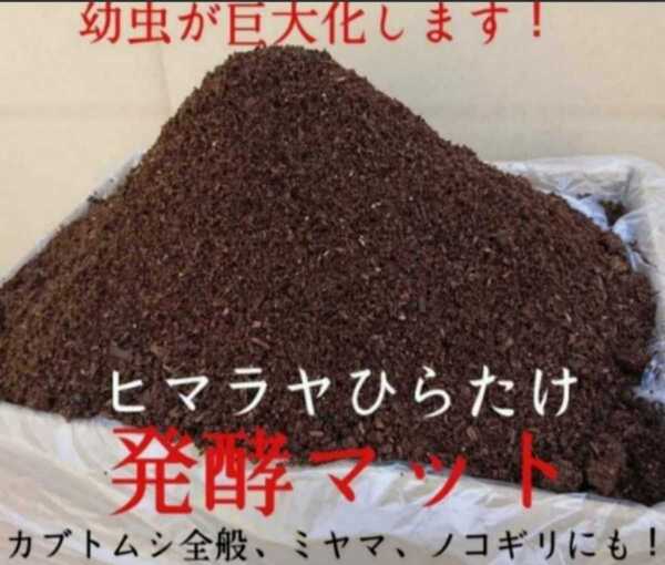 送料無料☆【改良版】カブトムシ幼虫が大きくなります!ヒマラヤひらたけ発酵マット☆産卵にも抜群!雑虫混入全くなし!栄養添加剤入 10L