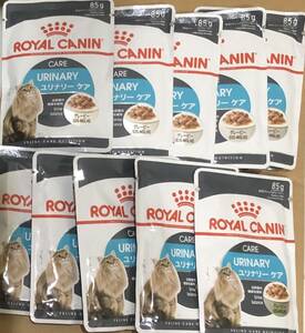 送料無料　ロイヤルカナン 成猫用ウェットフード11袋 ユリナリーケア グレービー 泌尿器の健康を維持 総合栄養食 レトルト パウチ