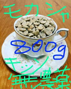 コーヒー生豆 モカシャキッソ800g 無農薬