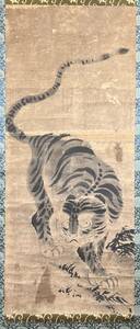 【掛軸】〈雲谷派〉『虎図』〔紙本肉筆） 共箱 / 中国画 人物図 山水図 花鳥図 日本 時代物 古画 掛け軸