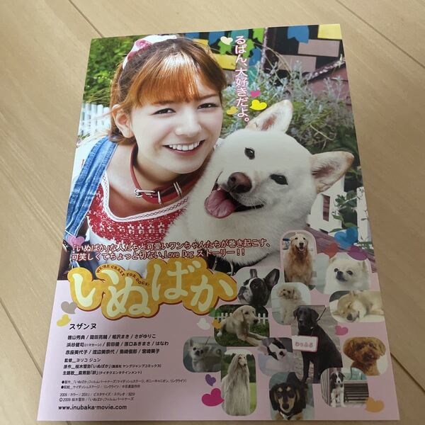 映画チラシ ・ポスターなど 映画番宣広告チラシ『いぬばか』 監督ヨリコジュン 出演:スザンヌ