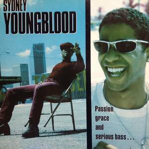 パッション・グレース・アンド・シリアス・ベース(輸入盤)／Sydney Youngblood (LPレコード) Passion Grace And Serious Bass..._