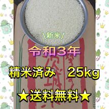 ★新米　精米済み　25kg　送料無料　格安　令和3年茨城産　ブレンド米　お米　最安値価格　限定1 コスパ米_画像1