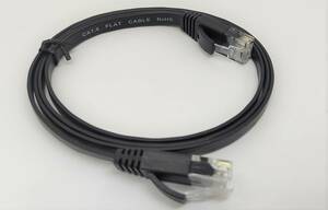 LAN кабель 1m ленточный кабель . незначительный.. категория 6 соответствует 1m коготь . поломка трудно модель мягкий поэтому подключение оборудование . боль . не 