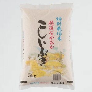 新品 未使用 5kg 精白米 D-SZ 安心安全な特別栽培米 令和3年産(5kg) 新潟県産 こしいぶき
