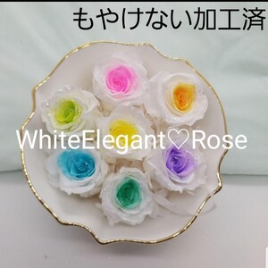 ホワイトエレガンスローズ もやけない 透けない ハーバリウム