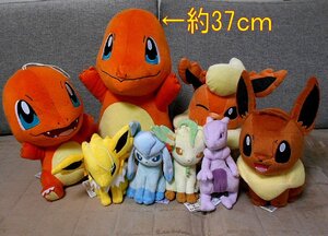 ヤフオク イーブイ ぬいぐるみ 大 の落札相場 落札価格 ヤフオク イーブイ ぬいぐるみ 大 の落札相場 落札価格