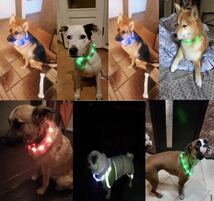 首輪 光る LEDライト 夜用 USB 充電 大型犬 蛍光 L 犬 ホワイト 白 LEDライト 発光_画像2