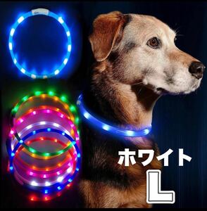 首輪 光る LEDライト 夜用 USB 充電 大型犬 蛍光 L 犬 ホワイト 白 LEDライト 発光