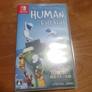 Nintendo Switch ヒューマンフォールフラット