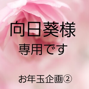 立体インナーハンドメイド、 お年玉企画② (どれでもインナー2枚)¥1000円 チャームナシ
