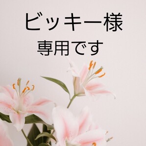 立体インナーハンドメイド (ビッキー様専用です)