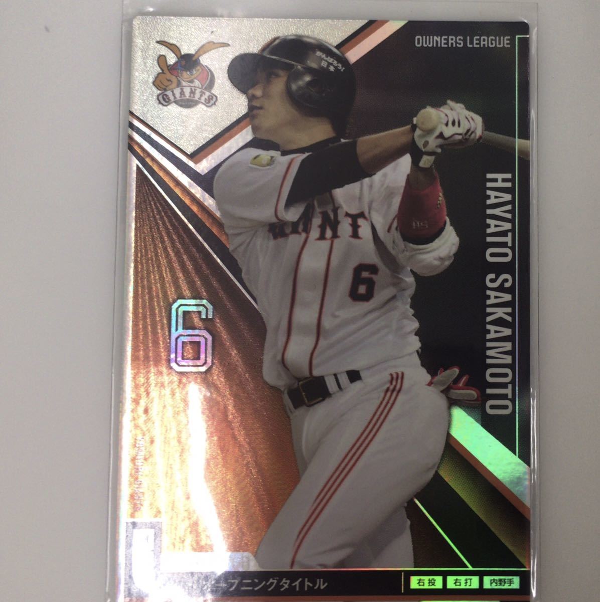 贅沢 オーナーズリーグ(ジャイアンツOB) プロ野球オーナーズリーグ - raffles.mn 贅沢 オーナーズリーグ(ジャイアンツOB) プロ野球オーナーズリーグ - raffles.mn