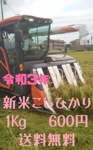 新米令和3年三重県産コシヒカリ農家直送白米1Kg色彩選別機済減農薬防虫剤不使用体にやさしいお米です。40106