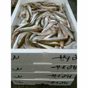  Hokkaido * Ibaraki производство корюшка 1kg. зонт .... рыба 