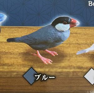 ★ミニチュア★文鳥コレクション２　ガチャガチャ　ブルー