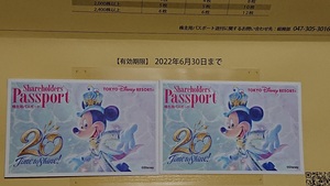 東京ディズニーランド　ディズニーシー　株主優待パスポート　２枚セット　 有効期限は2022年6月30日　オリエンタルランド