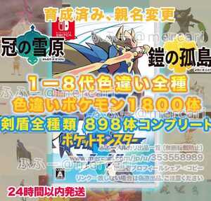 ポケモン ポケットモンスター ソード シールド 全国図鑑完成 色違い